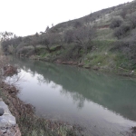 natural_environment_13