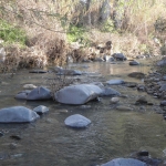 natural_environment_8