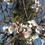 natural_environment_6