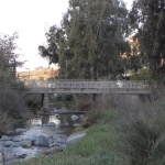 natural_environment_10