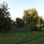 natural_environment_7
