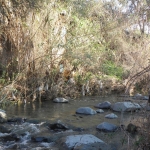 natural_environment_4