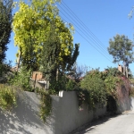 photo_gallery_27