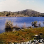 photo_gallery_19