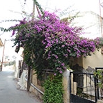 trailer_photo_gallery